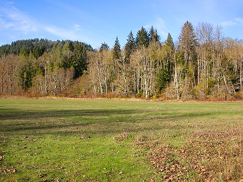 Large private field or pasture, Whitehorse Trail 3 miles E of Oso, Snohomish County, Washington