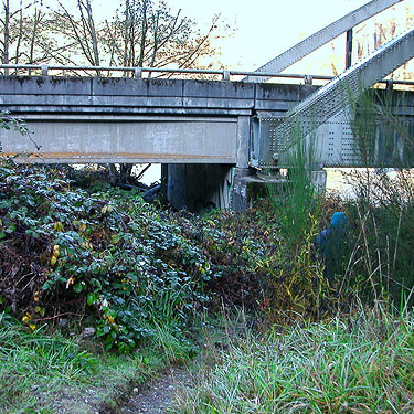 Laurel slips under the bridge to harvest moss, Veach Road near Cicero, Snohomish County, Washington