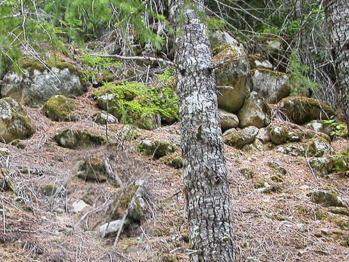 rocks on roadside slope, upper Rapid River, Snohomish County, Washington