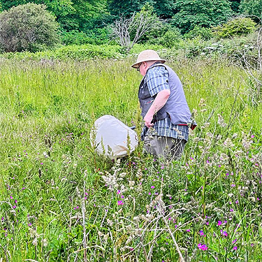 Rod Crawford sweeping beach meadow, Lily Point Park, Point Roberts, Washington