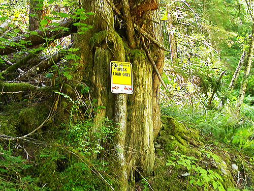 joke loading sign in forest, Silver Creek, Galena, Snohomish County, Washington