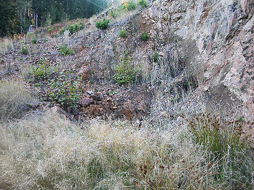 small quarry and grass habitat, powerlline above Beckler River, near Skykomish, King County, Washington