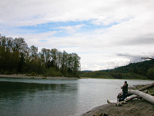 fisherman on river bank, South Bank Skagit River east of O'Toole Creek