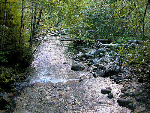 Sulphur Creek below Sulphur Creek Bridge, upper Suiattle River, Snohomish County, Washington