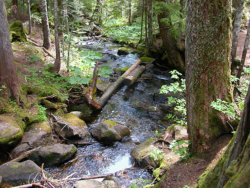 Talapus Creek at bridge near Talapus Lake, King County, Washington