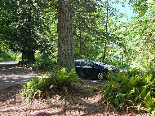 Laurell's car all alone in parking lot, Toad Lake, Whatcom County, Washington