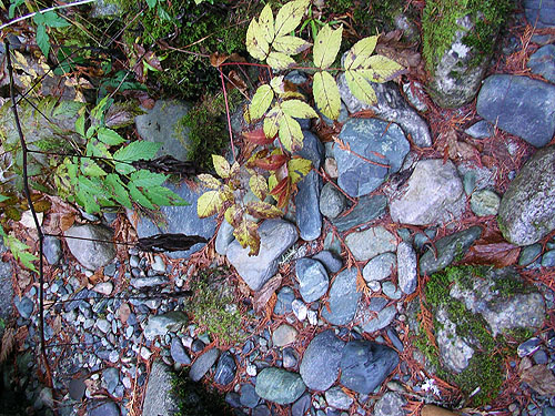stones at edge of creek bed, intersection of Bacon Creek and Bacon Point roads, NE of Marblemount, Skagit County, Washington