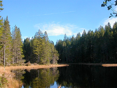 Big Pond, McCormick Woods, Kitsap County, Washington