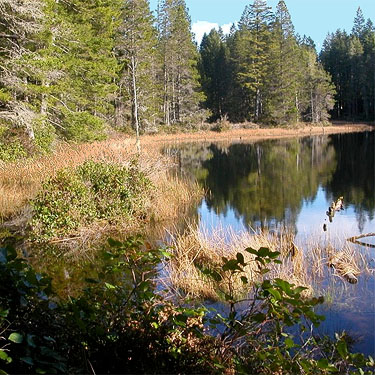 shore of Big Pond, McCormick Woods, Kitsap County, Washington