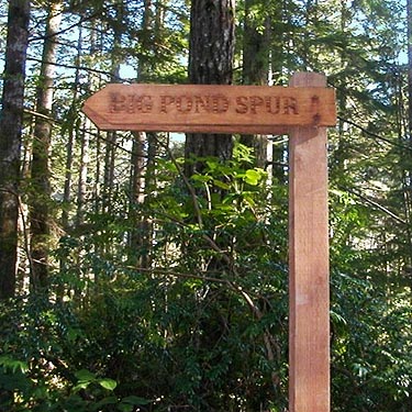 spur trail sign, Big Pond Trail, McCormick Woods, Kitsap County, Washington