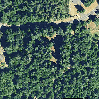 2015 aerisl view of Delphi Pioneer Cemetery, Thurston County, Washington