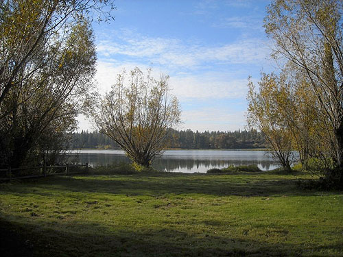 lawn and willows, Fish Lake Park, Spokane County, Washington