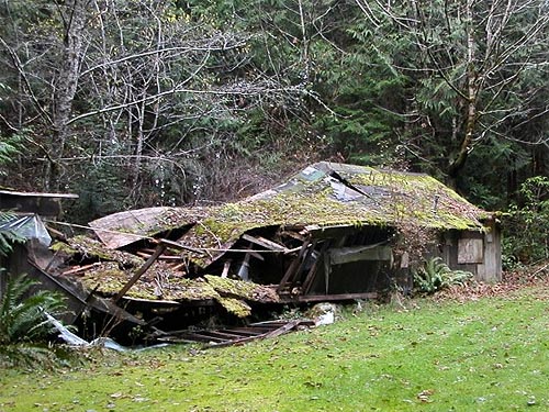 half-demolished shed, south end of Gibbs Lake, Jefferson County, Washington