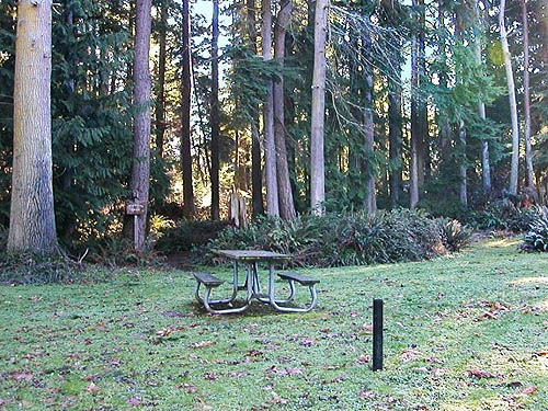 lawn and table, Hutchison Park, Camano Island, Washington