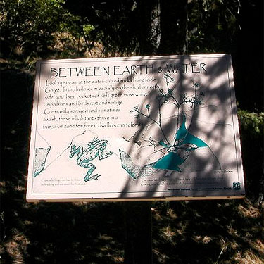Sign about amphibians, footbridge, Icicle Creek at Chatter Creek, Chelan County, Washington