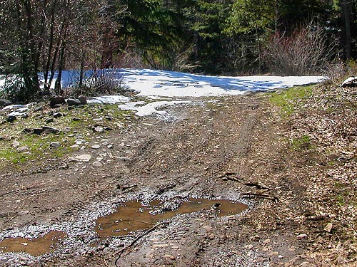 melting snow and mud, South Fork Manastash Creek at Barber Springs Road, Kittitas County, Washington