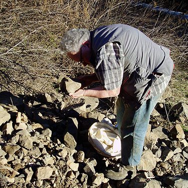 Rod Crawford finding Phrurotimpus parallelus under a rock, South Fork of Manastash Creek at Barber Springs Road, Kittitas County, Washington