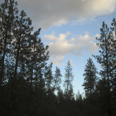rain cloud heralds wet evening, McLellan Conservation Area, Spokane County, Washington