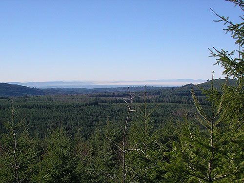 valley with fog viewed from 2006 clearcut on Mowich Lake Road, Pierce County, Washington