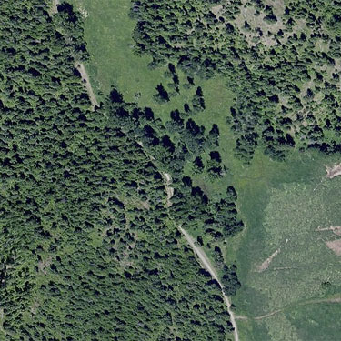 aerial view of cottonwood grove site, McKenzie Conservation Area, Newman Lake, Spokane County, Washington