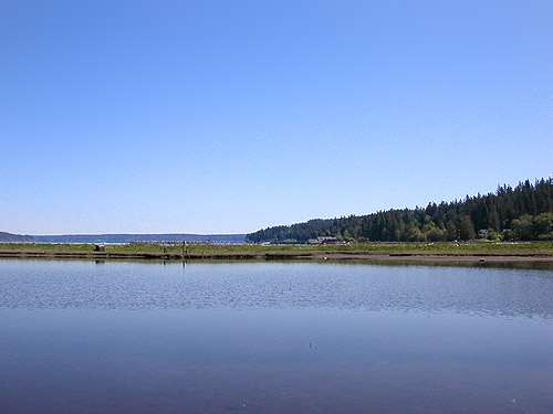 view across lagoon, Nick's Lagoon Park near Seabeck, Washington