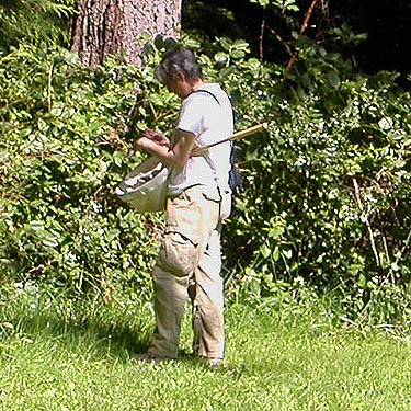 Laurel Ramseyer beating vegetation, Nick's Lagoon park near Seabeck, Washington