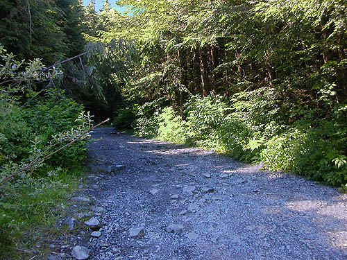 rough side road to rock quarries NW side of Mt Pilchuck, Snohomish County, Washington