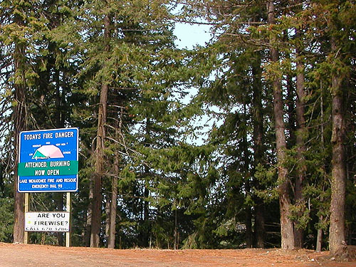 forest spider site on ridge crest E of Plain, Chelan County, Washington