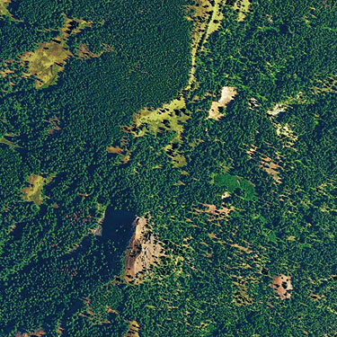 Red Top Mountain & meadows to north, Kittitas County, Washington, 2015 USDA aerial photo