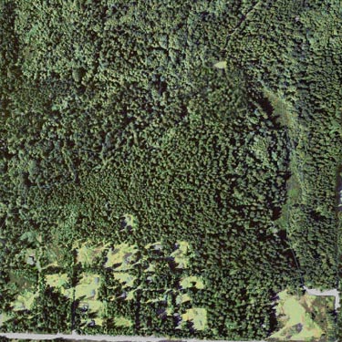 aerial view of Rocky Creek Conservation Area, Key Peninsula, Pierce County, Washington