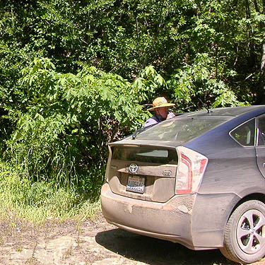 Laurel Ramseyer with dusty car, small tributary of Ruby Creek, Chelan County, Washington