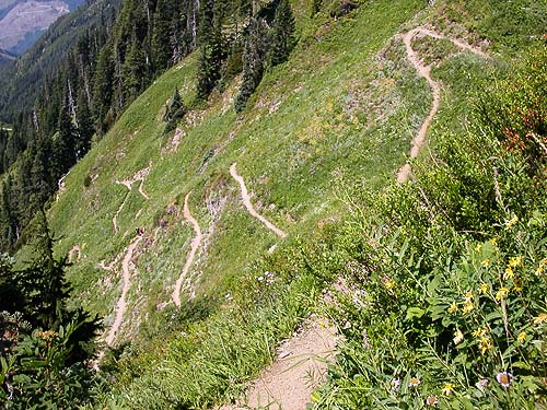 switchbacks on trail to Sauk Mountain, Skagit County, Washington