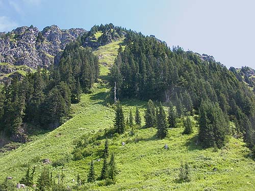 meadow holding trail to Sauk Mountain, Skagit County, Washington