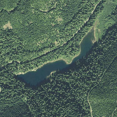 aerial photo of Spider Lake, Mason County, Washington
