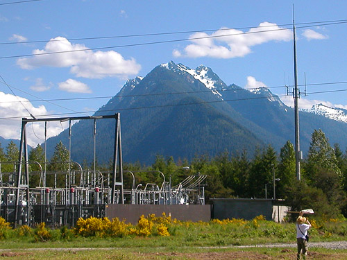 Jumbo Mountain looms over Laurel Ramseyer, powerline clearing 1.3 miles E of Squire Creek Park, Snohomish County, Washington