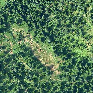 aerial photo (2008) of meadow along Tonga Ridge Trail, King County, Washington
