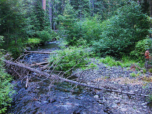 lower Union Creek near trailhead, Yakima County, Washington