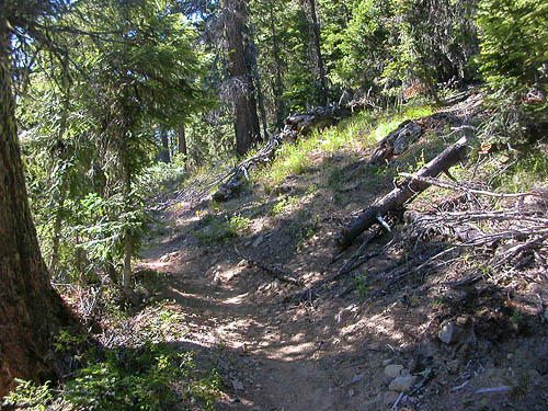 Union Creek Trail above Union Creek Falls, Yakima County, Washington