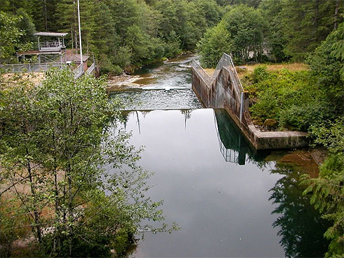 barrier dam, Wynoochee River Fish Collection Facility, Grays Harbor County, Washington