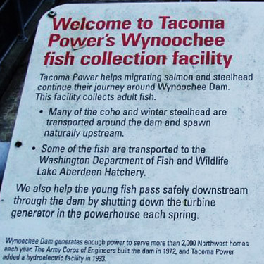interpretive sign, Wynoochee River Fish Collection Facility, Grays Harbor County, Washington