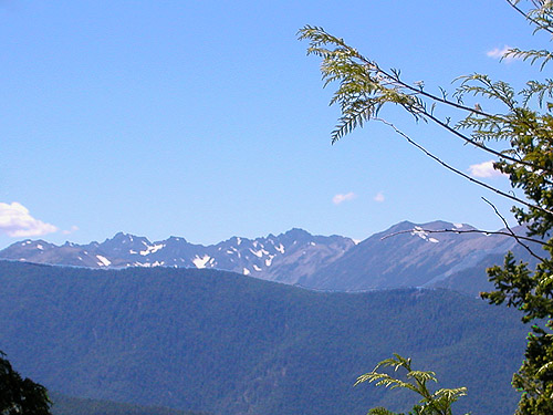 Tyler Peak see from partway up Mount Zion, Clallam County, Washington