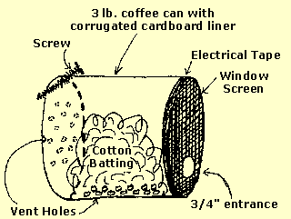 bumble bee house construction, drawing