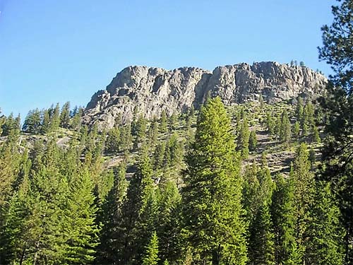 pine forest and cliff, Thirteenmile Creek Trailhead, Ferry County, Washington