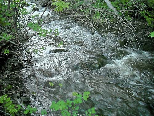 Thirteenmile Creek near Thirteenmile Creek Trailhead, Ferry County, Washington
