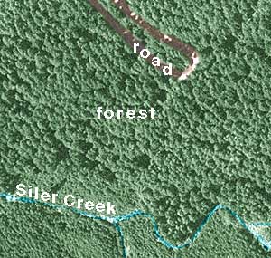 aerial photo of Siler Creek spider site showing mature forest, US Geological Survey 1993