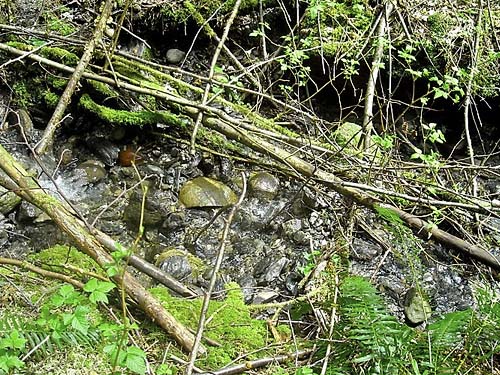 bed of small tributary of Parson Creek, south slope of Anderson Mountain, Skagit County, Washington