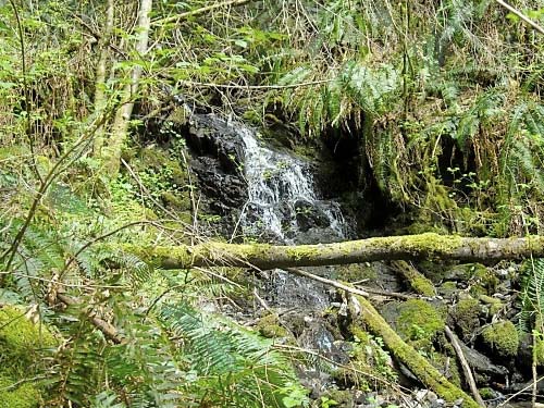 small cascade on tributary of Parson Creek, south slope of Anderson Mountain, Skagit County, Washington