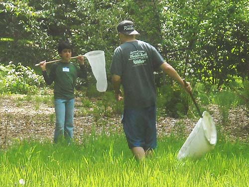 volunteer helpers, Washington Park Arboretum, Fraxinus area, Seattle, Washington