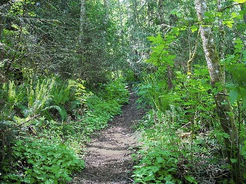 trail to Big Rock, E of Mount Vernon, Skagit County, Washington
