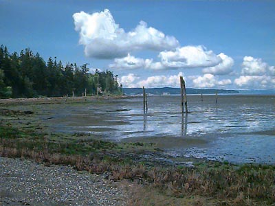 Skagit Bay from beach of English Boom, Camano Island, Washington